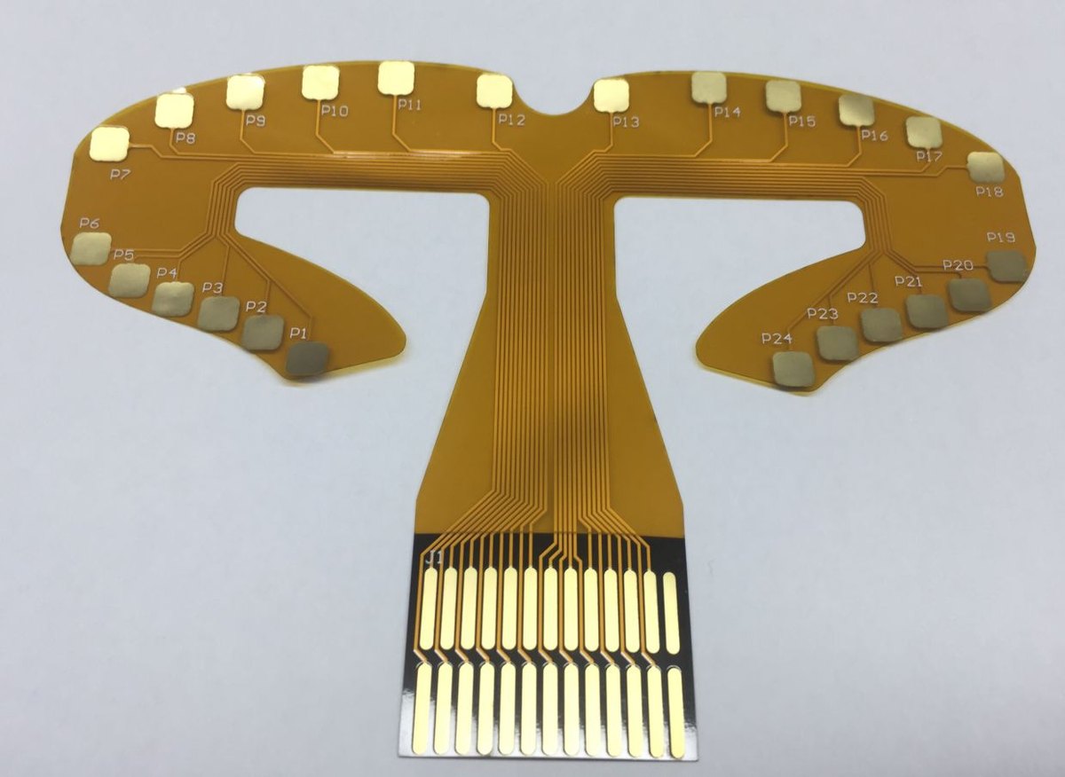 Dental electrode — 24 channels (P1–P24)